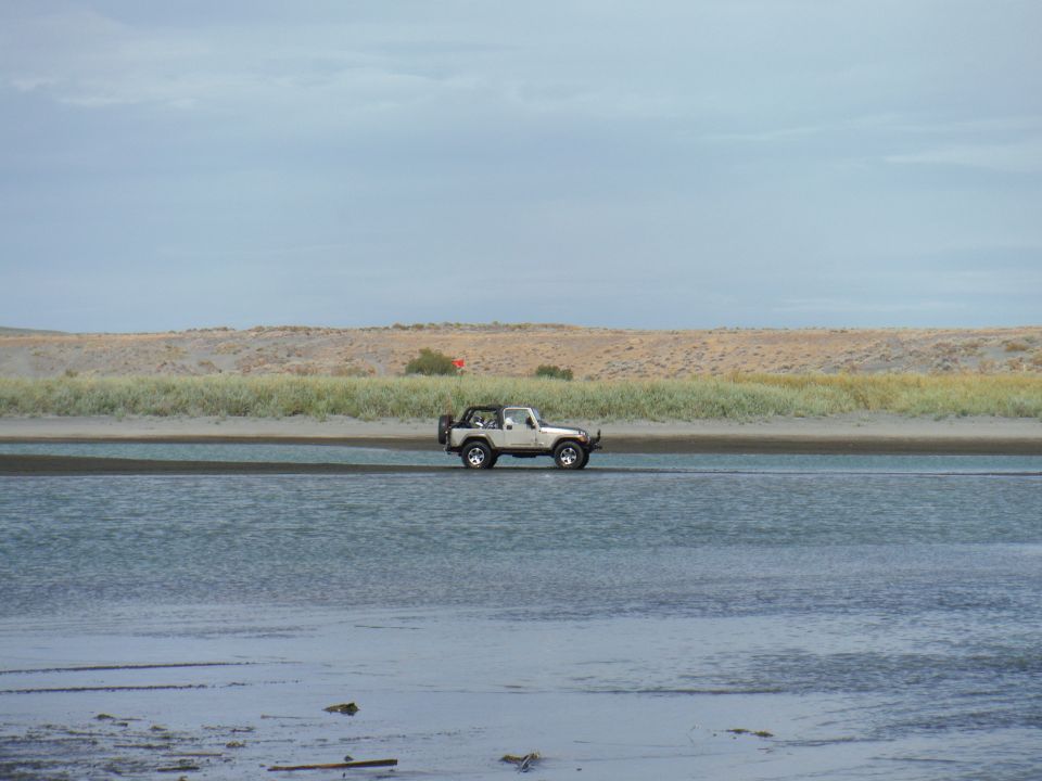 White Jeep Wrangler driving through shallow water with sandy dunes and grass in background