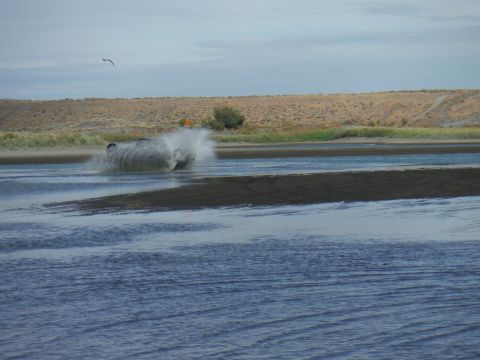 2005 Jeep Wrangler - A black Jeep Wrangler drives through shallow water, kicking up a significant spray.