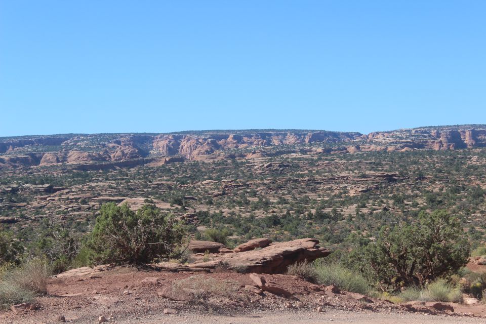 Arid landscape with red rock mesas and sparse vegetation under a clear blue sky.