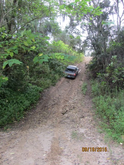1995 Ford Bronco - A silver Ford pickup truck drives up a steep, rutted dirt road surrounded by dense green foliage. The truck is viewed from behind and sligh…