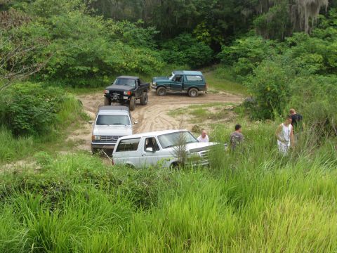 1995 Ford Bronco - Several off-road vehicles, including a black pickup truck, a green SUV, and two white SUVs, are parked on a dirt path surrounded by lush gr…