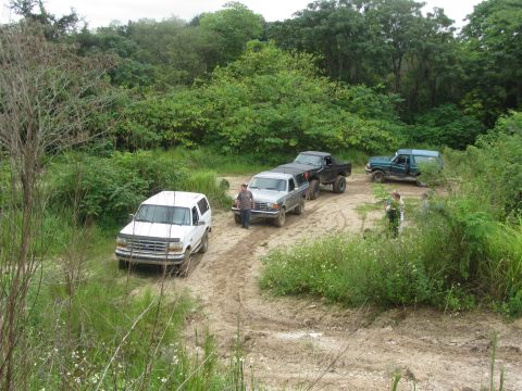 1995 Ford Bronco - Several Ford Bronco SUVs are parked on a dirt road surrounded by lush green foliage. A white Bronco is in the foreground, with a dark gray…