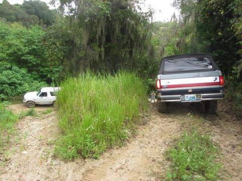 1995 Ford Bronco - Two Ford Broncos are parked on a dirt road surrounded by lush green foliage and trees. The Bronco in the foreground is a dark blue, gray, a…
