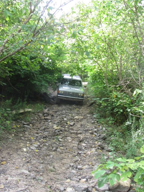 1995 Ford Bronco - A silver van drives up a rocky, overgrown trail surrounded by lush green trees. The van is partially obscured by branches and foliage.