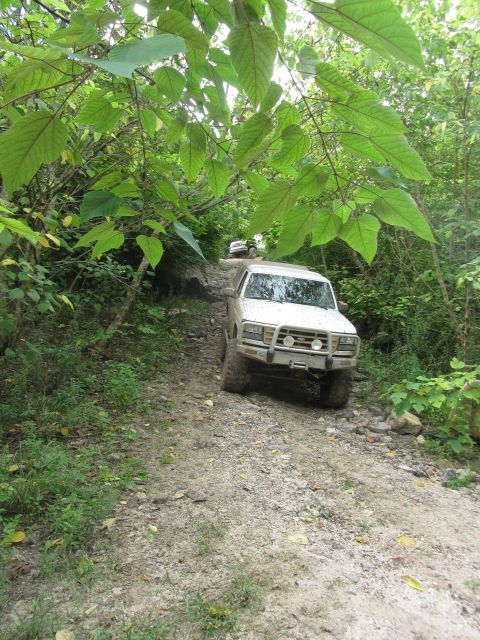 1995 Ford Bronco - A white Ford Bronco drives up a rocky, dirt path surrounded by lush green foliage. Another white SUV is visible further up the trail.