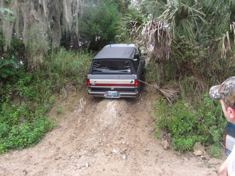 1995 Ford Bronco - A gray Ford Bronco with a black canopy is stuck on a muddy incline, surrounded by lush green foliage and trees with Spanish moss.