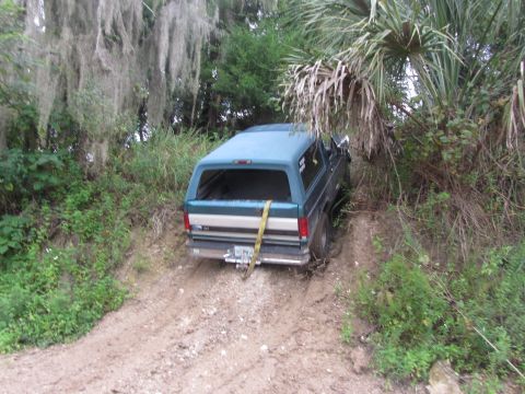 1995 Ford Bronco - A teal Ford Bronco with a blue camper shell is stuck on a muddy, uphill dirt road surrounded by dense foliage.