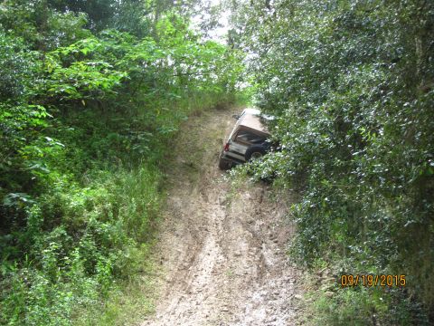 1995 Ford Bronco - A tan and brown SUV is stuck on a muddy, overgrown trail. The vehicle is partially obscured by dense green foliage.