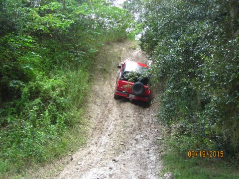 1995 Ford Bronco - A red Ford Bronco is driving down a muddy, overgrown trail. The vehicle is angled away from the camera, showing its rear and right side.