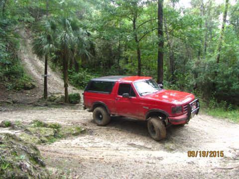 1995 Ford Bronco - A red 1990s Ford Bronco is parked on a dirt path surrounded by trees and foliage. The vehicle is facing towards the right of the frame, wit…