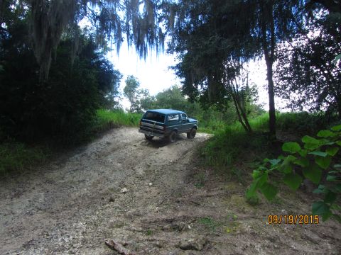 1995 Ford Bronco - A teal Ford Bronco is driving up a muddy, rutted dirt road surrounded by lush green trees and Spanish moss hanging from branches.