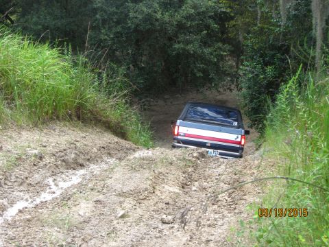 1995 Ford Bronco - A blue, red, and white Ford Bronco is driving up a muddy, rutted dirt road surrounded by lush green foliage. The rear of the vehicle is vis…