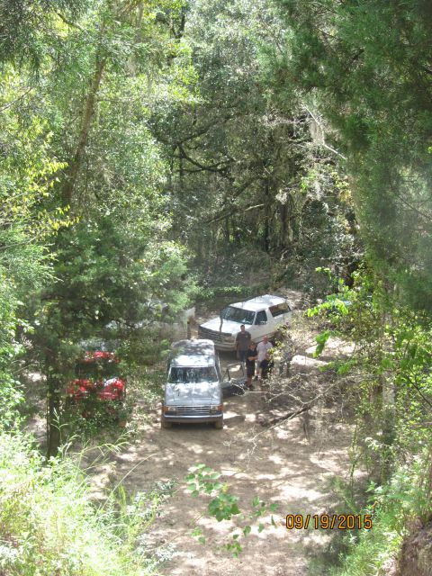 1995 Ford Bronco - Two Ford Broncos are parked on a dirt path in a wooded area. A red vehicle is partially visible behind the silver Bronco.