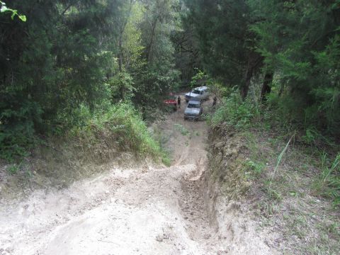 1995 Ford Bronco - Several off-road vehicles are parked on a dirt path surrounded by dense trees. The vehicles appear to be SUVs and trucks, with one silver S…