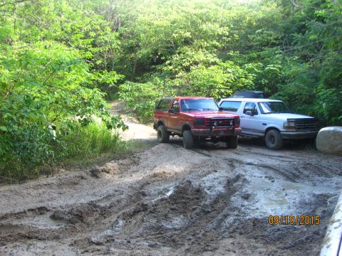 1995 Ford Bronco - A red Ford Bronco and a white Ford F-150 are parked on a muddy trail surrounded by lush green foliage. The scene is captured on a sunny day…