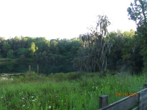 1995 Ford Bronco - A scenic view of a lake surrounded by lush green trees and vegetation. Spanish moss hangs from a tree in the foreground, and a wooden fence…