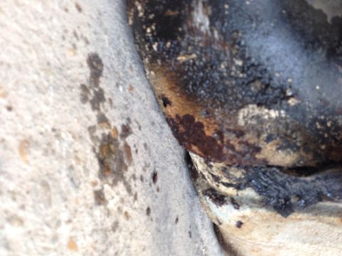 1979 Ford Bronco - A close-up, angled view shows a heavily rusted metal pipe or frame component next to a concrete surface. The metal is dark and appears to b…