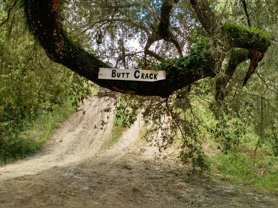 Sign that says "BUTT CRACK" on a tree branch over a dirt road.