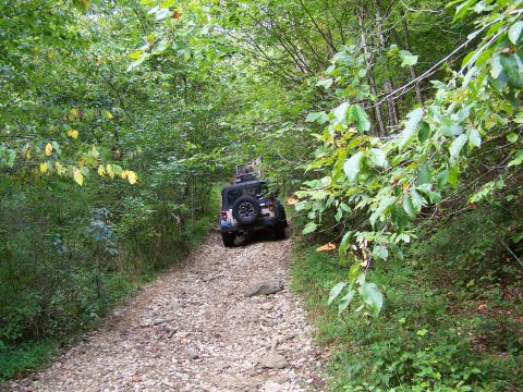 1986 Ford Bronco - A dark-colored Jeep Wrangler is driving up a rocky, wooded trail. The vehicle is viewed from the rear, angled slightly to the left, with de…