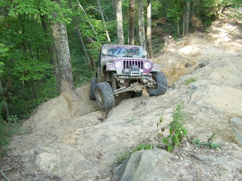 1986 Ford Bronco - A purple Jeep Wrangler is navigating a steep, rocky off-road trail with large trees on the left side of the frame.
