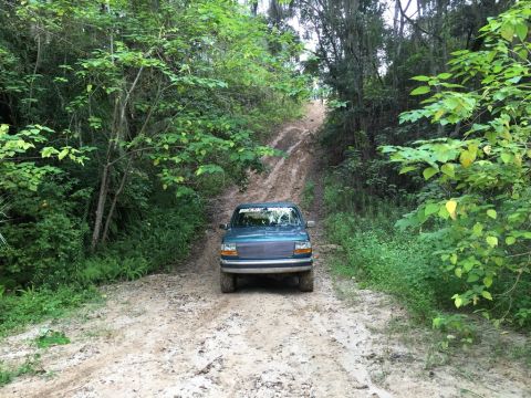 1996 Ford Bronco - A teal SUV navigates a challenging muddy path surrounded by dense green foliage.