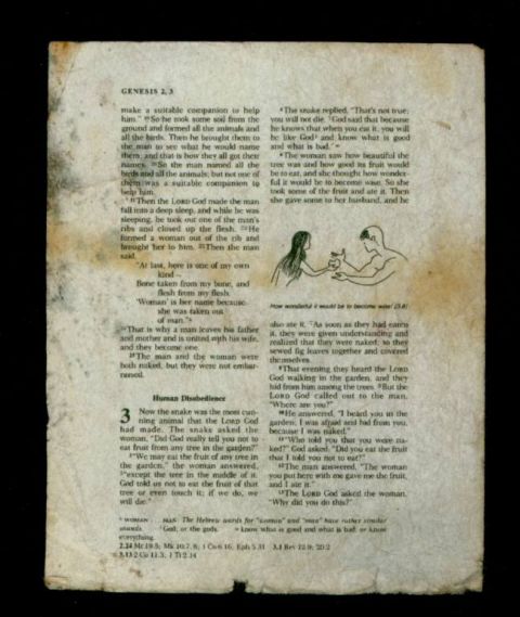 1995 Ford Bronco - This document displays text from Genesis 2:3, including a depiction of Adam and Eve.