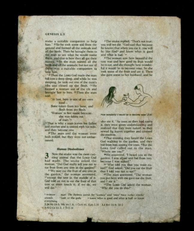 page from a book with text and illustrations, showing Genesis 2:3