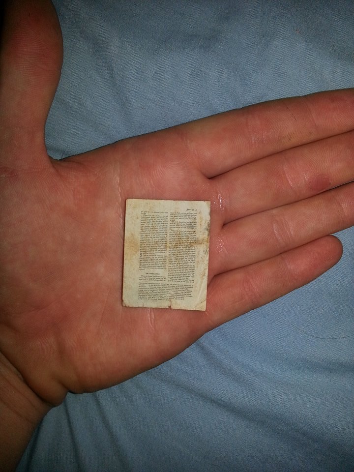 Tiny document with text held in a palm