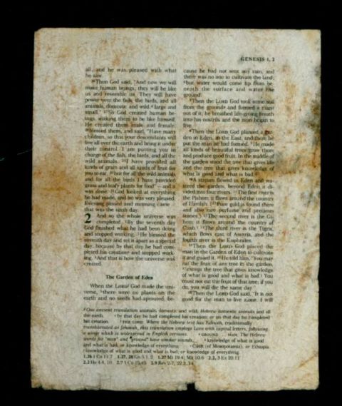 1995 Ford Bronco - This document appears to be a page from an old Bible, detailing the creation story.