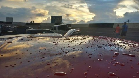 1995 Ford Bronco - Water droplets on a red car hood reflect the dramatic sky and other vehicles at a track event.