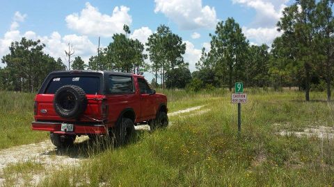 1995 Ford Bronco - This 1995 Ford Bronco is parked on a dirt path in a grassy, wooded area.