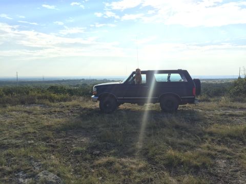1993 Ford Bronco - A dog looks out the window of a Ford Bronco parked on a hill overlooking a wooded landscape.
