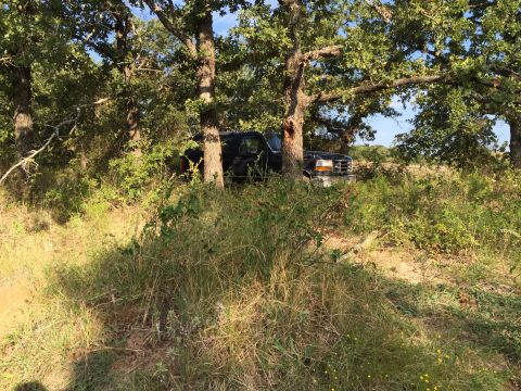 1993 Ford Bronco - Ford F-Series truck from the mid-1990s is partially hidden by trees and foliage.