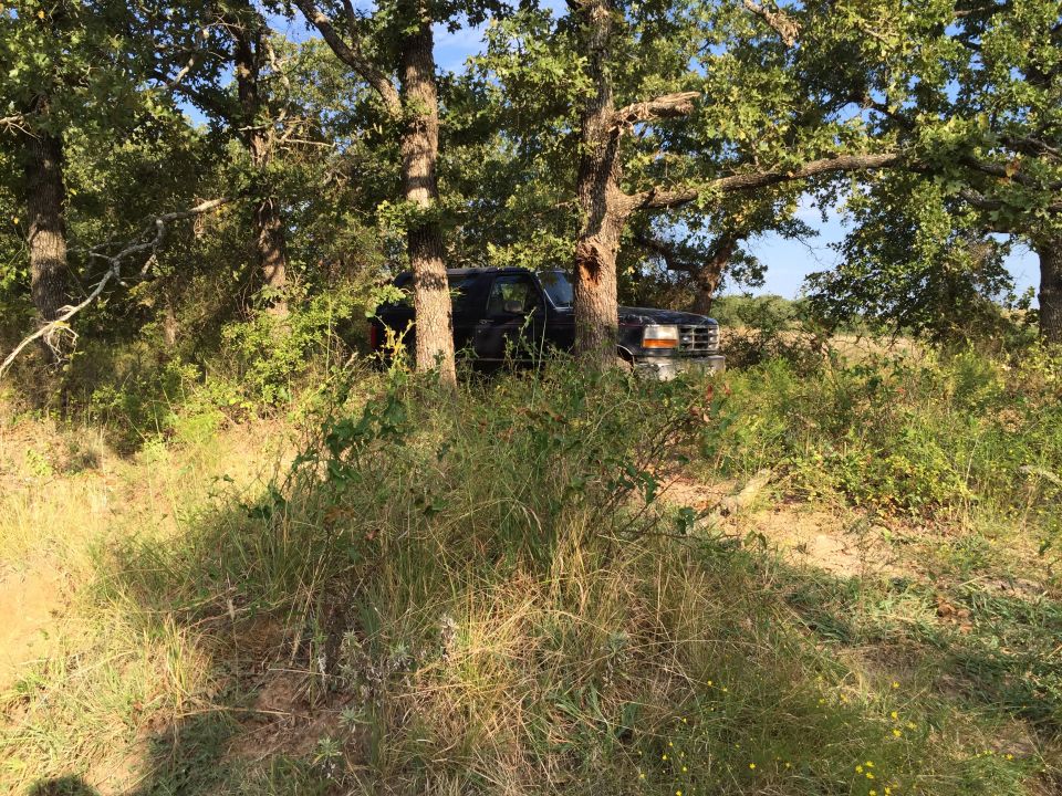 black Ford F-Series truck parked under trees, front grille visible