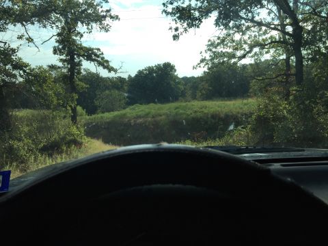 1993 Ford Bronco - Driving through a rural area with trees and a grassy hill visible from the car's interior.