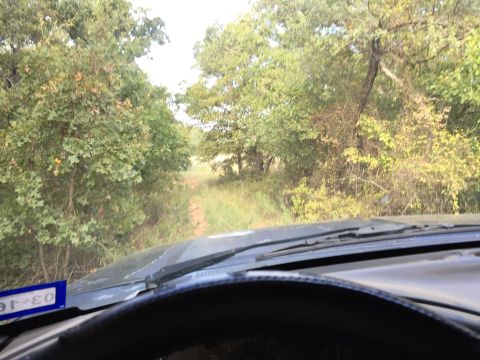 1993 Ford Bronco - View from inside a vehicle as it travels down a wooded dirt road.