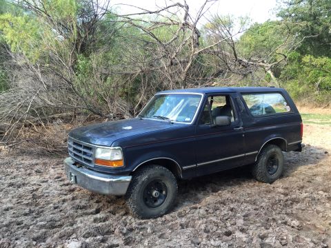 1993 Ford Bronco - Dark blue 1993 Ford Bronco sits off-road in a wooded area.
