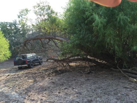1993 Ford Bronco - A dark blue SUV is parked on a muddy, uneven terrain next to a large tree with a fallen branch. The vehicle is viewed from the rear-side an…