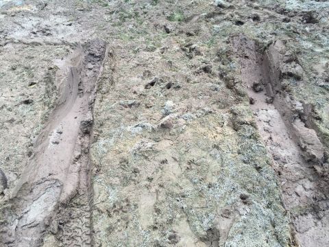 1993 Ford Bronco - A close-up view of muddy terrain with deep tire tracks and scattered vegetation.