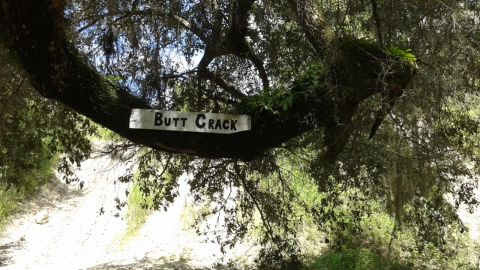 1996 Ford Bronco - A humorous sign is attached to a tree branch, indicating a location along a dirt road.
