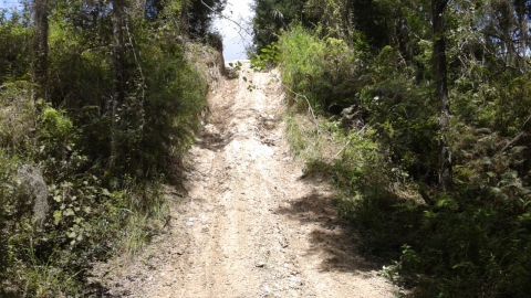 1996 Ford Bronco - A rough dirt road ascends a steep incline surrounded by thick vegetation and trees.