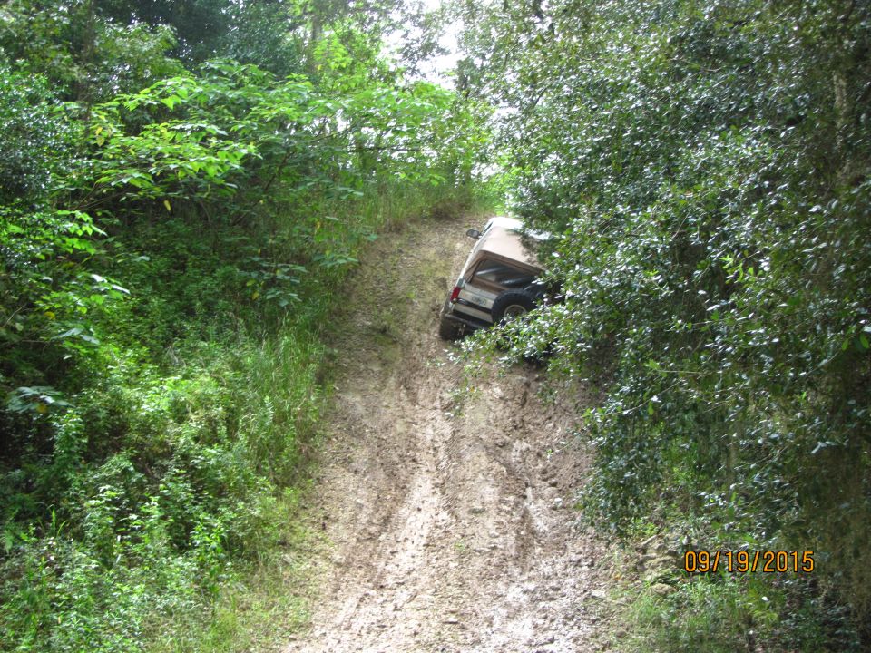 SUV stuck on a muddy hill with trees on both sides