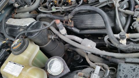 1991 Ford LTD Crown Victoria - Photograph of an engine compartment with fuel filter, vacuum hoses, and a coolant reservoir, not a technical document.