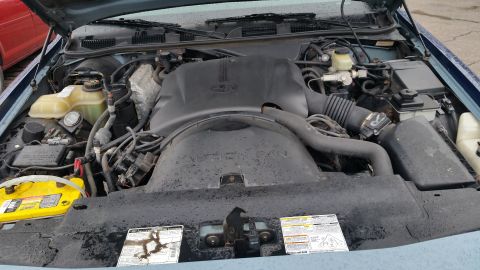 1991 Ford LTD Crown Victoria - Photograph of an engine compartment with intake cover, fluid reservoirs, and underhood emissions labels, not a technical document.