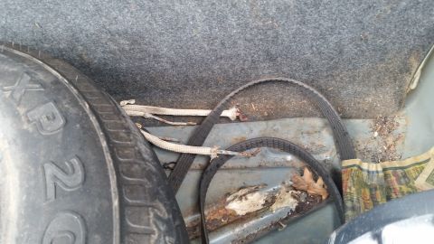 1991 Ford LTD Crown Victoria - Photo of a vehicle trunk well with spare tire, straps, surface rust and debris, not a document.