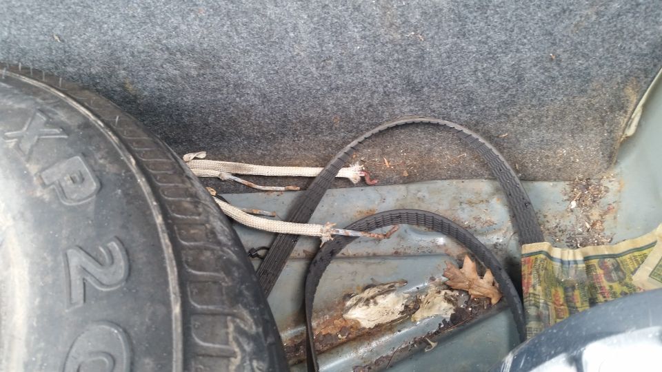 Spare tire and rusty trunk floor with debris and a leaf
