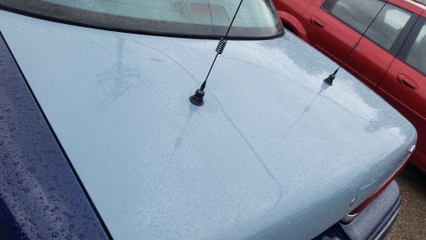 1991 Ford LTD Crown Victoria - Photograph of a light blue car hood and antenna, not a technical document.