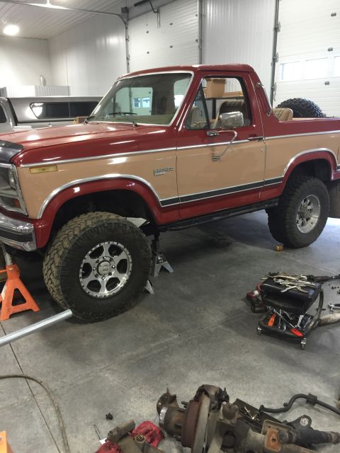 1984 Ford Bronco - Two-tone 1980s Ford Bronco lifted on jack stands, undergoing maintenance in a workshop.