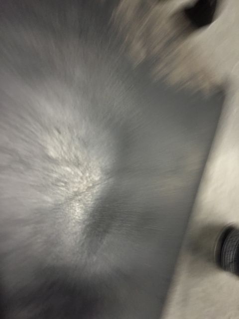 1984 Ford Bronco - Tire and wheel well detail, image is heavily blurred.