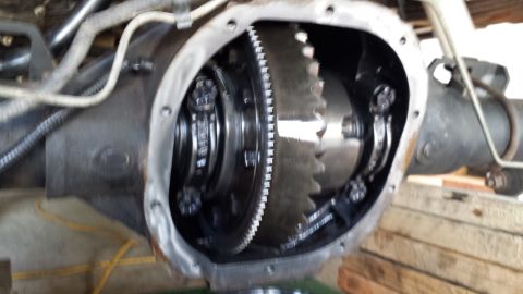 1996 Ford Bronco - 4.56s and Eaton locker